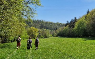 Retour d&rsquo;expérience sur un atelier jurassien en avril 2024